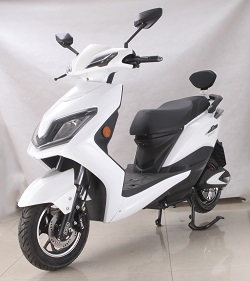 立马牌LM1500DT-9电动两轮摩托车图片