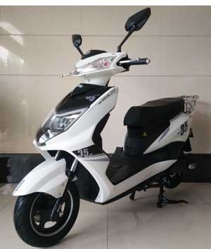 金箭牌JJ1200DT-35电动两轮摩托车公告图片