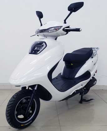 金箭牌JJ1200DT-22电动两轮摩托车公告图片