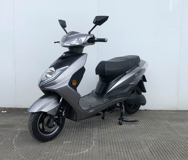 新蕾牌XL600DQT-11电动两轮轻便摩托车公告图片