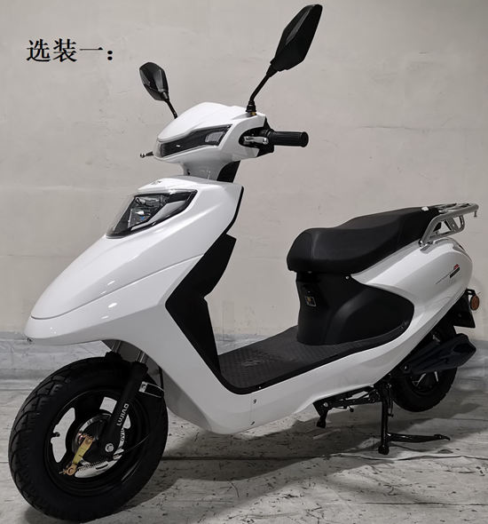 绿骄牌LJ1000DQT-5B电动两轮轻便摩托车公告图片