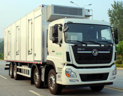 西奈克牌CEF5310XCQ15D雏禽运输车