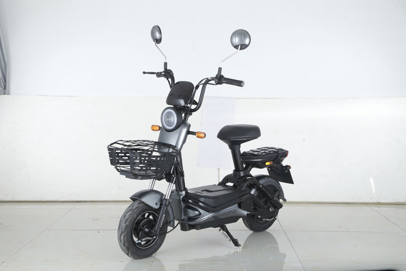 绿源牌LY500DQT-A电动两轮轻便摩托车图片