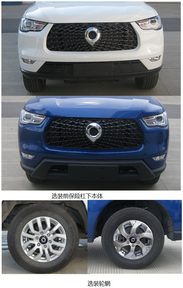 长城牌CC1030QY22A多用途货车公告图片