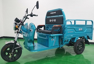 徐邦牌XB1000DZH-3电动正三轮摩托车公告图片