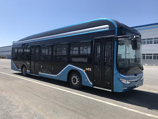 黄海牌DD6129EV22纯电动城市客车公告图片