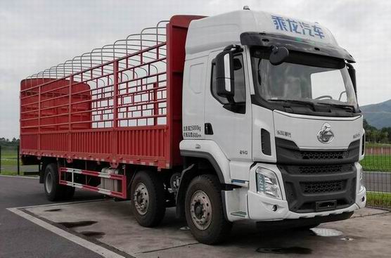 乘龍牌LZ5250CCYH7CB倉柵式運(yùn)輸車公告圖片