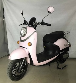 立马牌LM1200DT-5A电动两轮摩托车公告图片