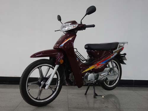 TM110-2H两轮摩托车