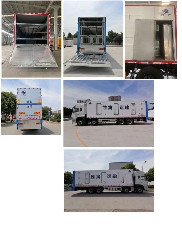 紅宇牌HYZ5310XCQ雛禽運輸車公告圖片