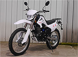 赛摩牌SM250GY-A两轮摩托车公告图片
