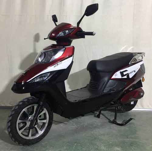 五星钻豹牌ZB1200DQT-2电动两轮轻便摩托车图片