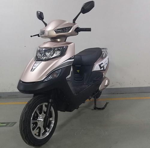 五星钻豹牌ZB1200DQT-2电动两轮轻便摩托车公告图片