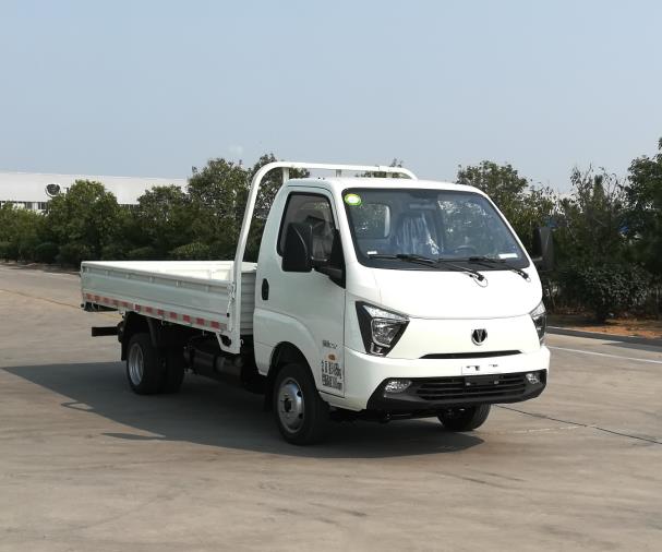 飞碟牌FD1037D66K6-NG2载货汽车公告图片