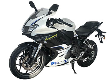 贝纳利牌BJ300GS-D两轮摩托车图片