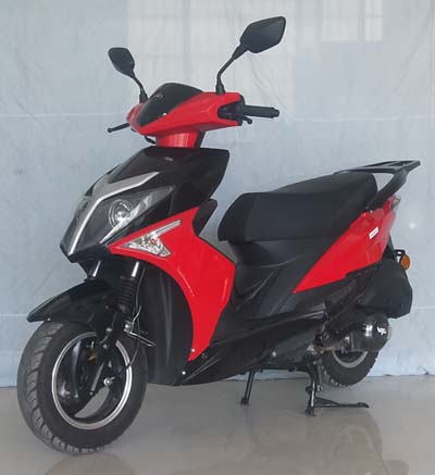 王野牌WY125T-155E两轮摩托车公告图片