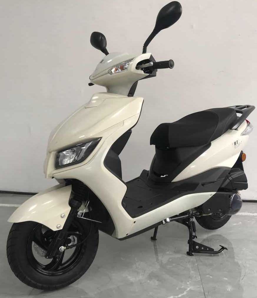 易主牌YZ125T-7两轮摩托车公告图片