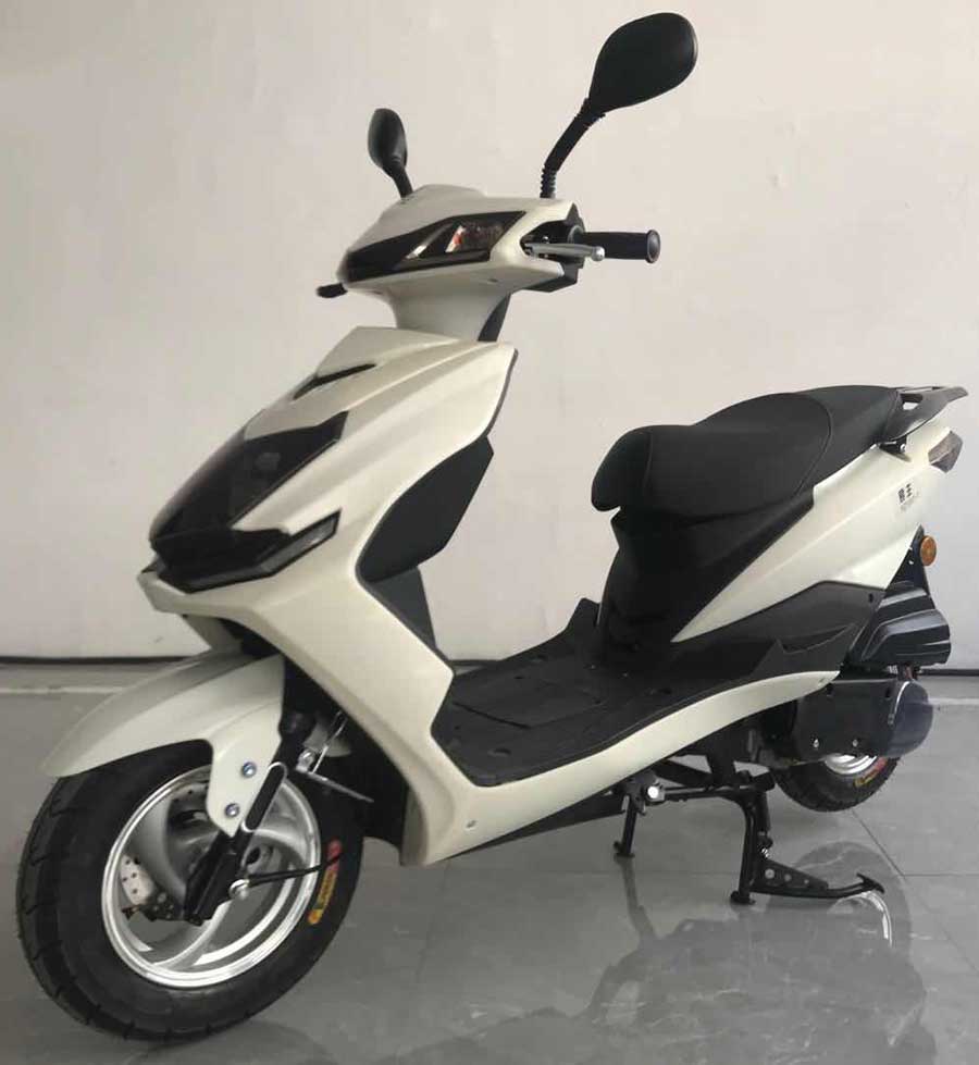 易主牌YZ125T-7两轮摩托车公告图片