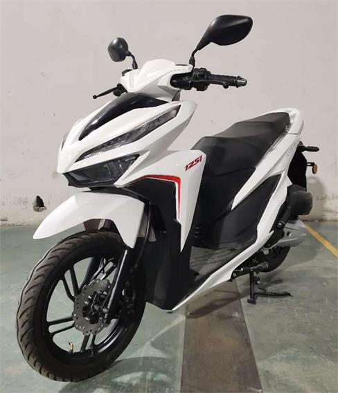 劲力牌JL125T-19E两轮摩托车公告图片