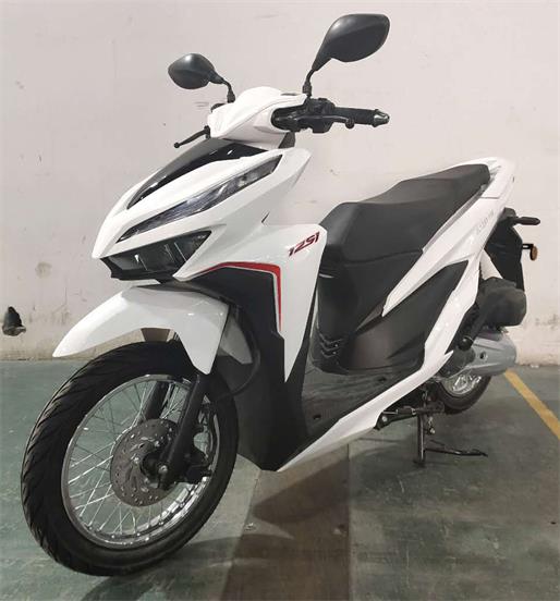 劲力牌JL125T-19E两轮摩托车公告图片