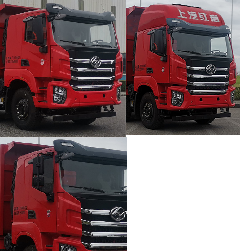 紅巖牌CQ5317ZLJSD10336自卸式垃圾車公告圖片