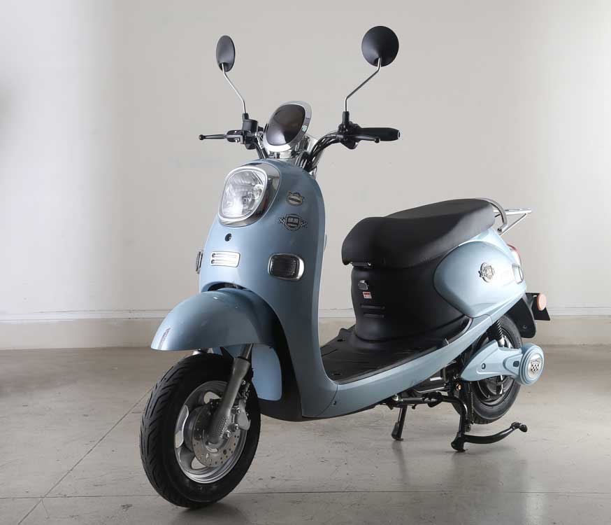 绿源牌LY1200DT-19电动两轮摩托车公告图片
