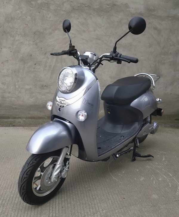 平安牌PA1000DQT-6电动两轮轻便摩托车公告图片