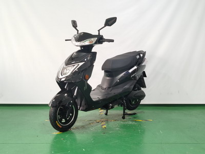 庆雅牌KY1200DT-5电动两轮摩托车公告图片