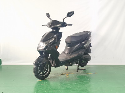 庆雅牌KY1200DT-5电动两轮摩托车公告图片