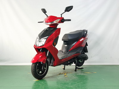 庆雅牌KY1200DT-5电动两轮摩托车公告图片