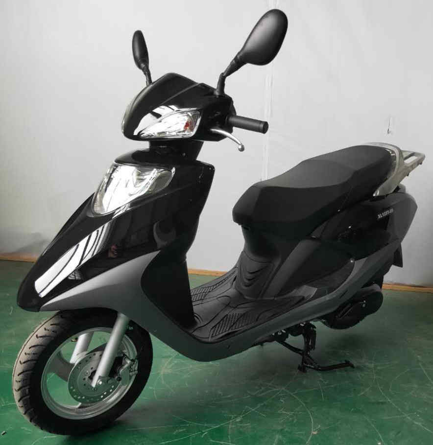 迅龙牌XL125T-5S两轮摩托车公告图片