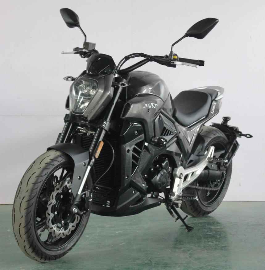 嘉爵牌JJ500-A两轮摩托车图片