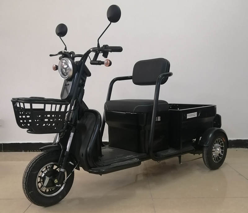 台富牌TF500DQZ-2电动正三轮轻便摩托车公告图片