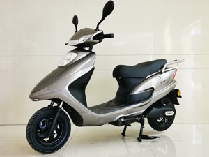永久牌YJ650DQT-2电动两轮轻便摩托车公告图片