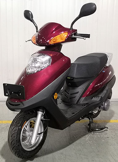 QD125T-5Y 启达牌124CC汽油前盘式后鼓式两轮摩托车图片