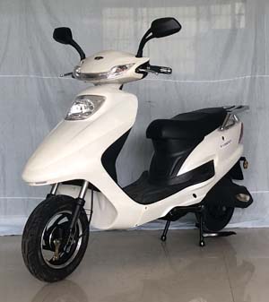 王野牌WY800DQT电动两轮轻便摩托车公告图片