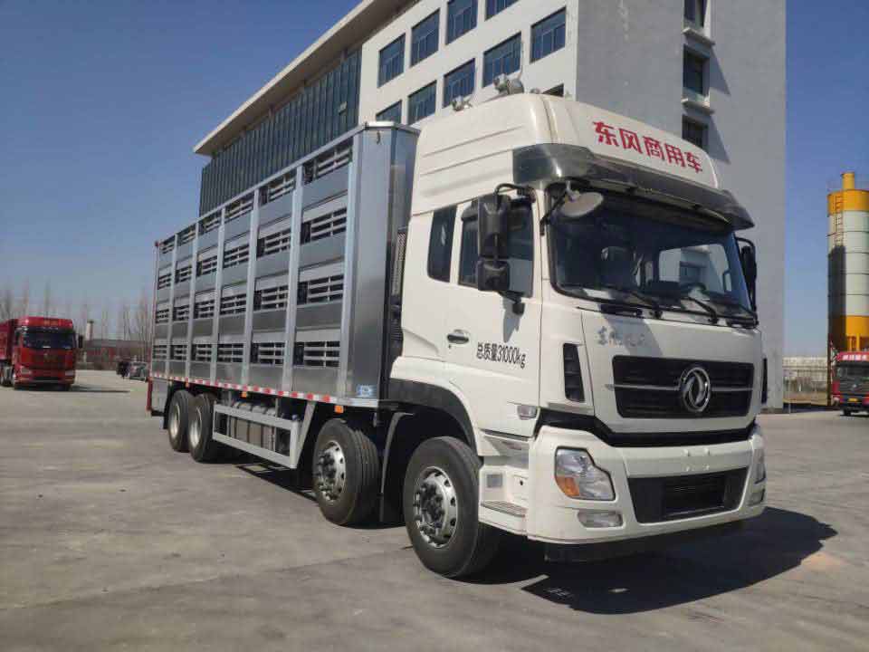 高賽華運牌CGS5310CCQ畜禽運輸車公告圖片