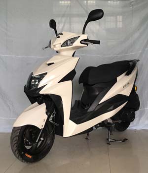 王野牌WY125T-136E两轮摩托车公告图片