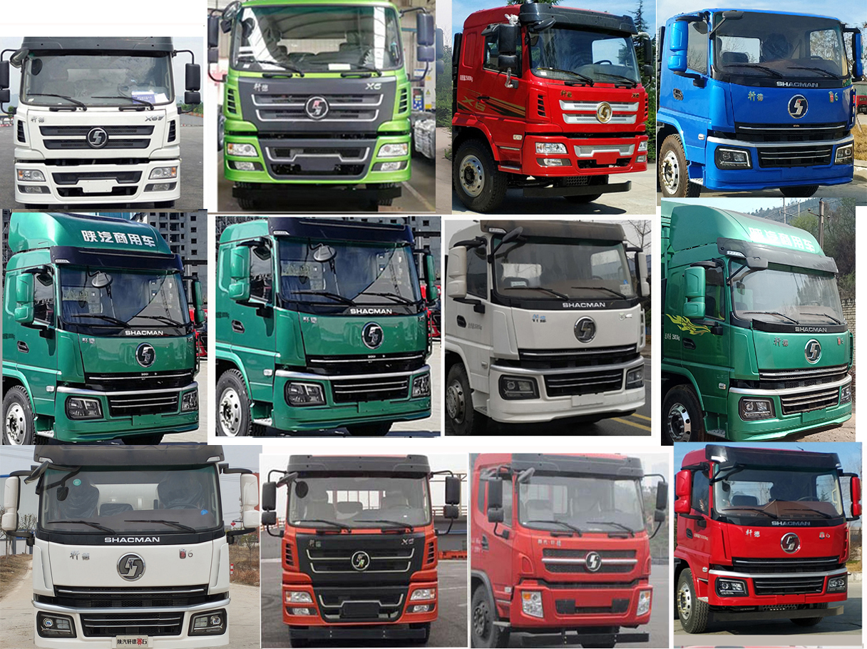 潤知星牌SCS5180ZSLSX6散裝飼料運輸車公告圖片