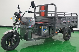 七巧板牌QQB1200DZH-6电动正三轮摩托车公告图片