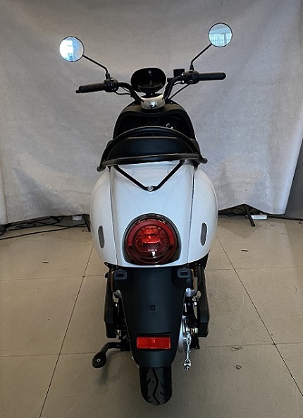 立马牌LM1200DT-12A电动两轮摩托车公告图片