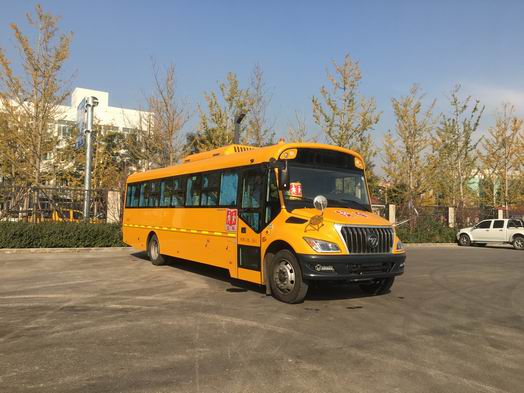 福田牌BJ6996S8LFB小学生专用校车公告图片