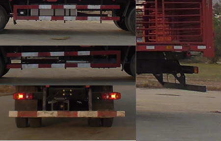 東風牌DFH5250CCQBXV畜禽運輸車公告圖片