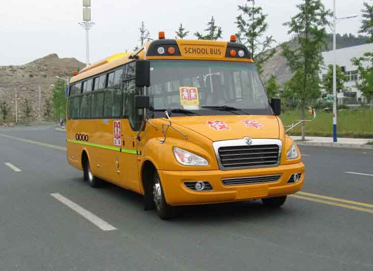 东风牌7.5米24-45座幼儿专用校车(EQ6750STV1)