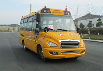东风牌6.6米24-36座幼儿专用校车(EQ6661STV1)
