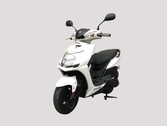 飞鹰牌FY110T-3A两轮摩托车公告图片