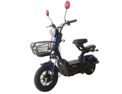 雅迪牌YD600DQT-5C电动两轮轻便摩托车公告图片