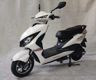 新日牌XR1000DQT-3D电动两轮轻便摩托车公告图片