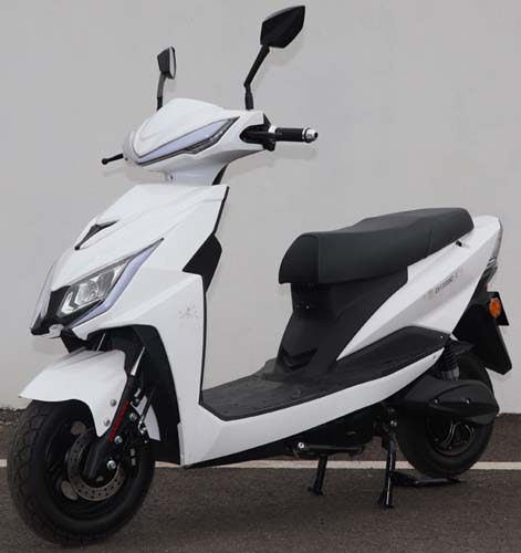 宗申牌ZS1200DQT-2电动两轮轻便摩托车公告图片