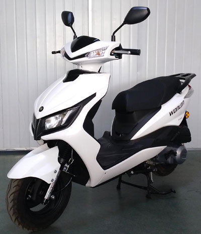 望龙牌WL125T-25两轮摩托车公告图片